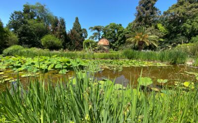 Plongée philosophique dans le jardin du vivant