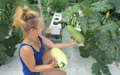 Venez découvrir les produits de l’agriculture sans terre !