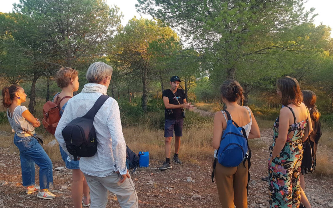 Plongée philosophique dans le jardin du vivant