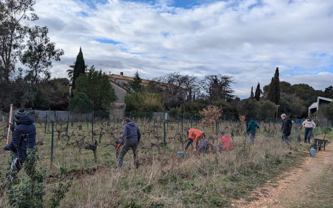 Journée à la découverte de l’agroforesterie à l’Oasis Citadine