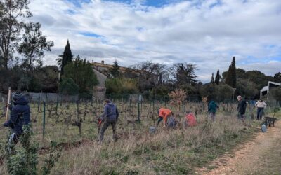 Journée à la découverte de l’agroforesterie à l’Oasis Citadine