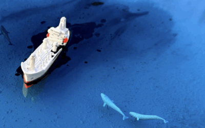 Immersion dans l’univers de Mathieu Lucas