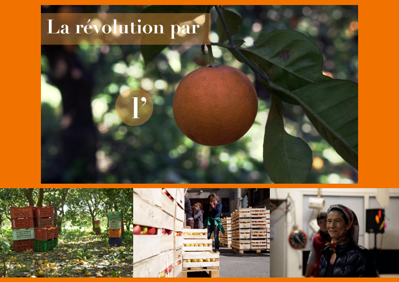 La Révolution par l’Orange – Projection/Débat